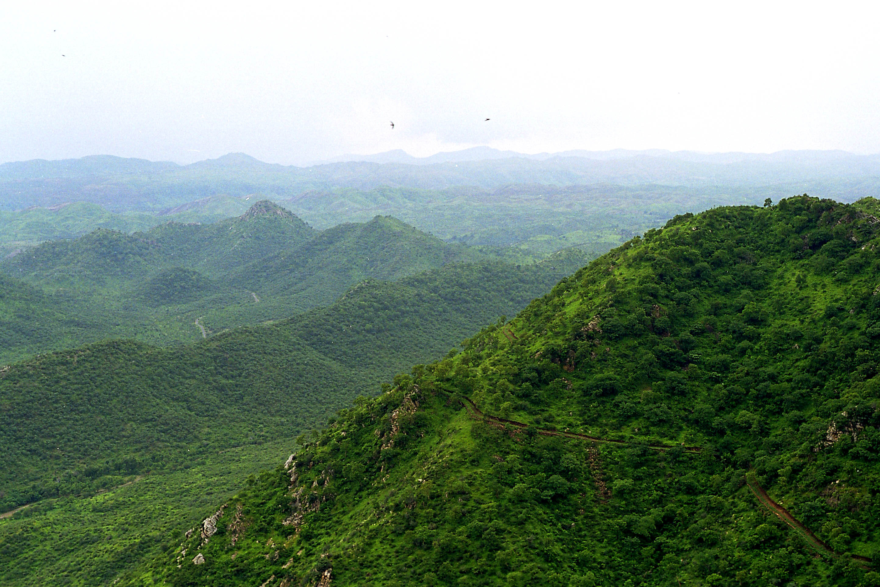 Sample Nature Post